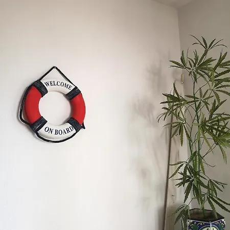 Welcome To Board Homestay *